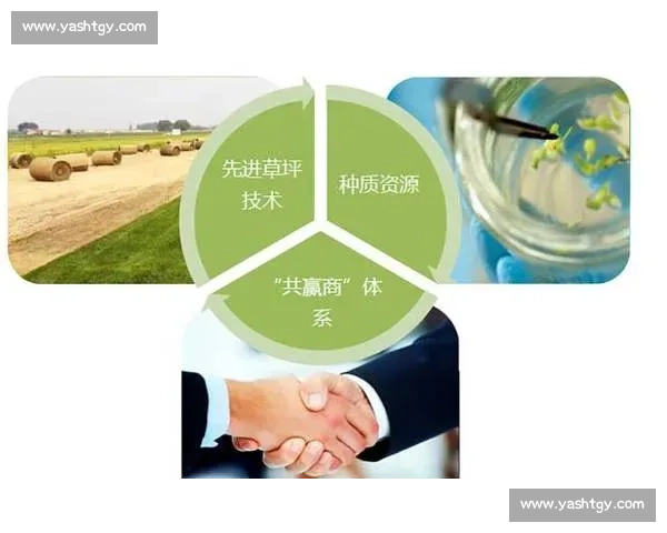 聚焦足球行业产品创新升级驱动体育消费新生态发展路径研究与实践